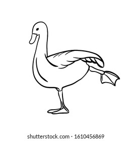 Contour graphics. Duck. Suitable for cover, paper, magazine, web design. Coloring book for children.