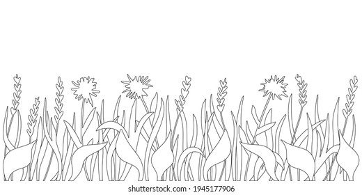 The contour of the grass, black lines on a white background.