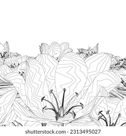 Contour Grass with herbs and wild flowers. Vector isolated silhouette of floral meadow. Horizontal border. Outline Flowers and herbs isolated on white background. Hand drawn sketch flowers and insects