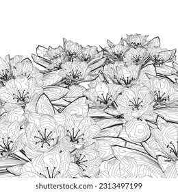 Contour Grass with herbs and wild flowers. Vector isolated silhouette of floral meadow. Horizontal border. Outline Flowers and herbs isolated on white background. Hand drawn sketch flowers and insects