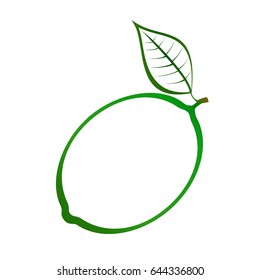 Contour of green lime with green stem and green leaf on white background. Ripe summer natural home made fruits