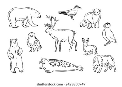 Contour hand drawn arctic animals and birds set. Doodle outline polar bear, reindeer, snow owl, Atlantic puffin on white background. Ideal for coloring pages, tattoo, pattern svg