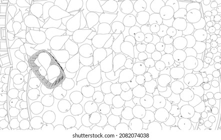 Contour of a heap of apples and pears, and a basket of black lines isolated on a white background. View from above. Vector illustration