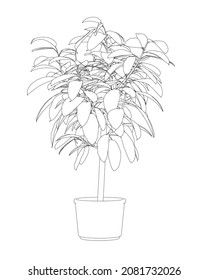 Contour home flower with long stem and leaves in a pot of black lines isolated on white background. Vector illustration