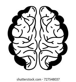 contour human brain anatomy to creative and intellect