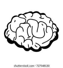 contour human brain anatomy to creative and intellect