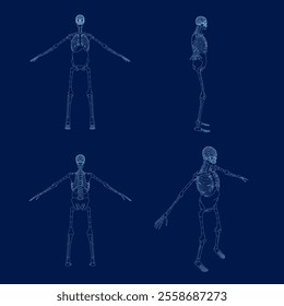 Contour of Human Skeleton and Organs. Vector illustration