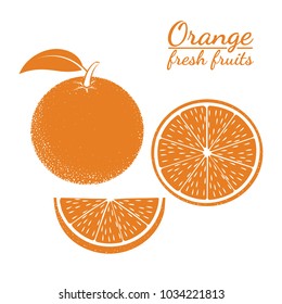 Contour icon of oranges on white background. Whole and cut oranges. Fruit. Vector illustration. Design for textiles, banners, posters, labels.