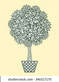 Contour Illustration. Decorative Tree In The Tub. Topiary. Design Element. Vector Illustration.