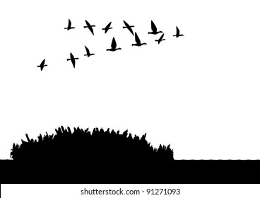 Contour illustration. A flock of wild ducks flying over the lake. Black and white illustration.