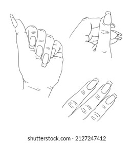 Contour illustration of a hand with long nails. Square shape and french manicure. For advertising and shaping