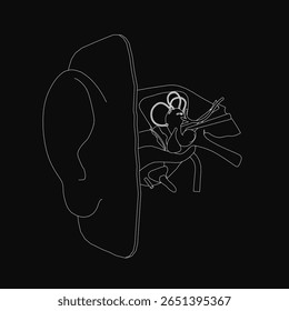 A contour illustration of a human ear with detailed inner structure, showcasing the anatomy of the hearing organ in white vector lines against a black background.