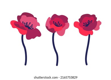 Contour illustration of poppy flower. Stylized illustration for cosmetics, perfumeries and food packaging.