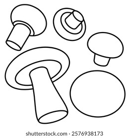 Contour illustration of a set of champignon mushrooms
