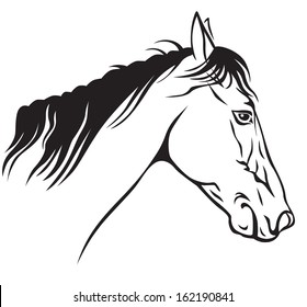 Contour image of a beautiful horses profile