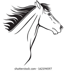 Contour image of a beautiful horses profile