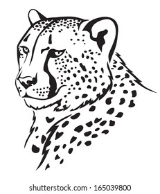 The contour image of the cheetah's muzzle