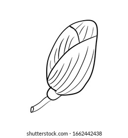 Contour image of a decorative flower in black on a white background. Vector. Use for web design and print, fabric, packaging, napkins.