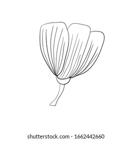 Imagen de contorno de una flor decorativa en negro sobre fondo blanco. Vector. Uso para diseño web e impresión, tela, embalaje, servilletas.