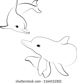 Contour image of dolphins on white background, two dolphins frolic