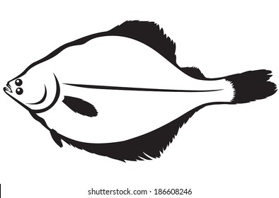 Contour image of fish flounder