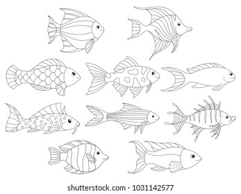 Contour image of fish. Vector fish - coloring.