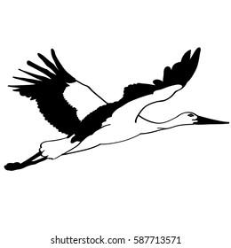 Vector Illustration Drawing Black Flying Swans Stock Vector (Royalty ...