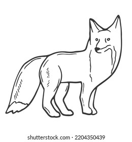 Contour image of a fox. Black silhouette of an animal. Doodle icon of a sitting fox. Simple black hand drawing for decoration. Vector clipart