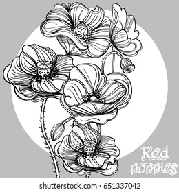 Contour image of poppy flowers. Floral design element for banners, posters, greeting cards, coloring books and other items. Black and white vector illustration.