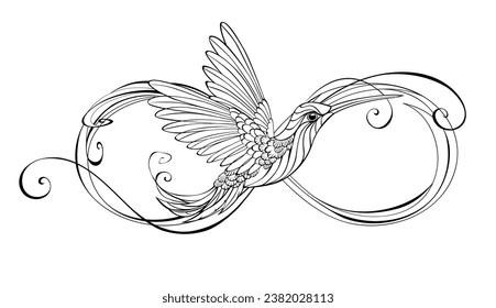 Contour infinity symbol with stylized hummingbird bird on an isolated white background. Hand drawn vector art