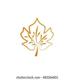 Contour leave of maple on white background . Natural design. Modern spring and summer stylish abstract . Template for prints, decoration. Vector illustration