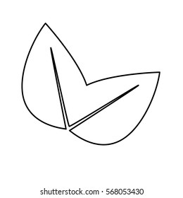 Contour leaves eco symbol design, vector illustration
