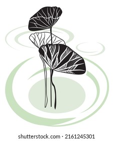 hojas de contorno. Graceful lily se deja en el estilo vectorial sobre un fondo abstracto minimalista.