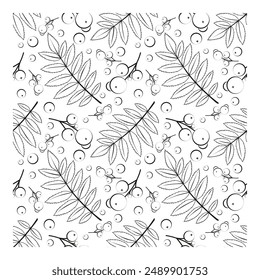 Contour leaves of rowan and clusters of rowan on a white background. Seamless vector pattern for fabric, wallpaper and wrapping paper