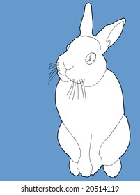 Contour line drawing of Easter bunny
