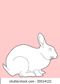 Contour line drawing of Easter bunny