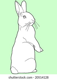 Contour line drawing of Easter bunny