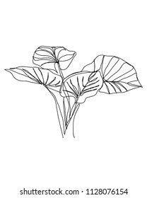 contour line drawing of
Natural Home Decoration
Hand drawn vector illustrations