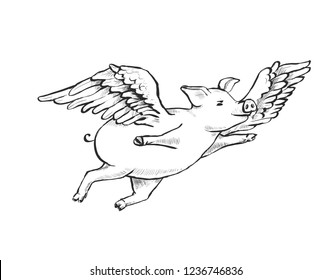 Contour Line Drawing. When pigs fly. A fat piglet is flying among cumulus clouds. He has wings. Hand-drawn illustration. Cartoon. Watercolor style