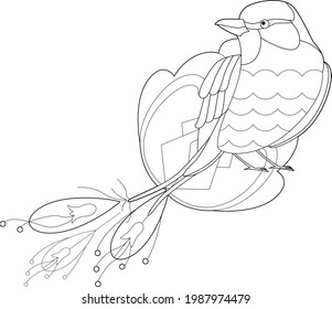 Dibujo lineal de contorno con pájaro para libro de coloreado. Corta gorrión, foto anti estrés. Diseño de líneas de arte para adultos o niños en estilo zentangle y página de coloreo.