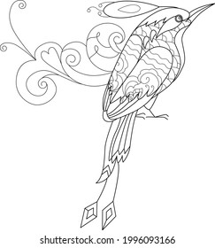 Contour linear illustration for coloring book. Beautiful tropical exotic bird,  anti stress picture. Line art design for adult or kids  in zentangle style and coloring page.