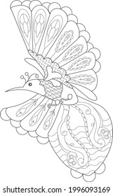 Ilustración lineal de contorno para libro de coloreado. Hermoso ave tropical exótica, foto anti estrés. Diseño de líneas de arte para adultos o niños en estilo zentangle y página de coloreo.