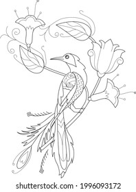 Contour linear illustration for coloring book. Beautiful tropical exotic bird,  anti stress picture. Line art design for adult or kids  in zentangle style and coloring page.