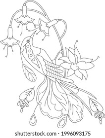 Contour linear illustration for coloring book. Beautiful tropical exotic bird,  anti stress picture. Line art design for adult or kids  in zentangle style and coloring page.