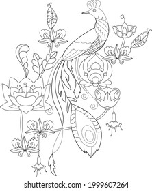 Contour linear illustration for coloring book. Beautiful tropical exotic bird,  anti stress picture. Line art design for adult or kids  in zentangle style and coloring page.