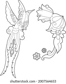 Contour linear illustration for coloring book with paradise bird. Beautiful tropical exotic bird,  anti stress picture. Line art design for adult or kids  in zentangle style and coloring page.