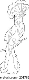 Contour linear illustration for coloring book with paradise bird. Beautiful tropical exotic bird,  anti stress picture. Line art design for adult or kids  in zentangle style and coloring page.