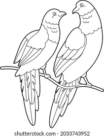 Contour linear illustration for coloring book with lovebirds. Two beautiful tropical exotic parrots,  anti stress picture. Line art design for adult or kids  in zentangle style and coloring page.