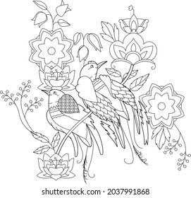 Contour linear illustration for coloring book with paradise bird. Beautiful tropical exotic bird,  anti stress picture. Line art design for adult or kids  in zen-tangle style and coloring page.