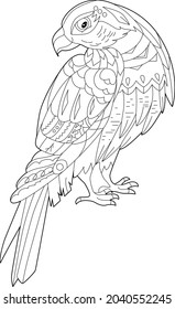 Contour linear illustration for coloring book with decorative falkon. Beautiful predatory  bird,  anti stress picture. Line art design for adult or kids  in zen-tangle style, tatoo and coloring page.